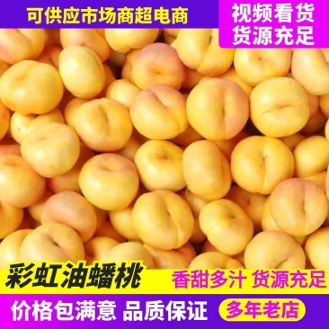 彩虹油蟠桃山东蒙阴油蟠桃各种毛桃油桃规格齐全