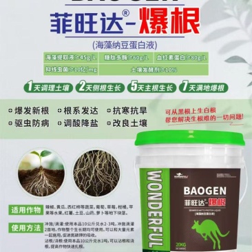 菲旺达爆根三天生新根七天大爆根爆发式生根