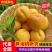 黄油桃蒙阴油桃大量上市现摘现发黄桃对接全国市场电商