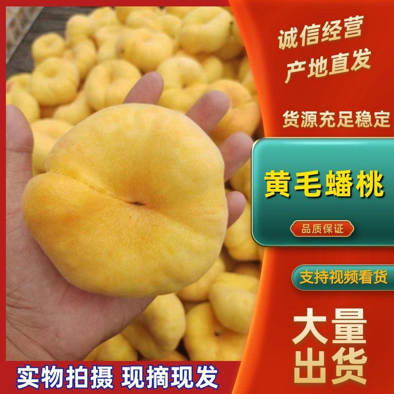 【精品蟠桃】黄毛蟠桃山东蒙阴产地直发毛蟠桃油蟠桃上市