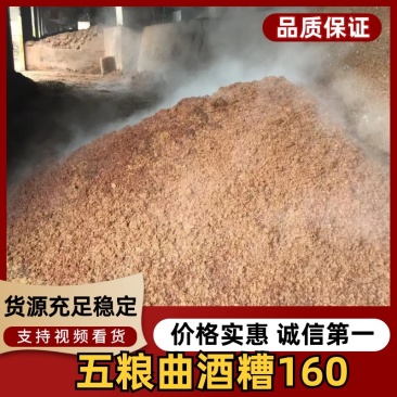 五粮曲酒糟160饲料原料酒糟高蛋白牛羊饲料大量