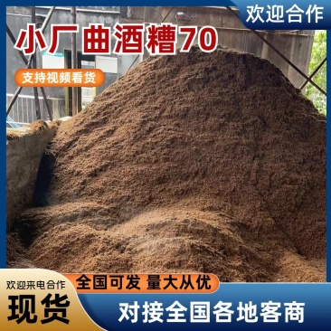 小厂曲酒糟70饲料原料酒糟现货可视频看货