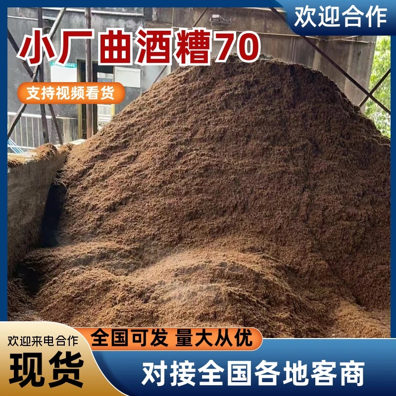 小厂曲酒糟70饲料原料酒糟现货可视频看货
