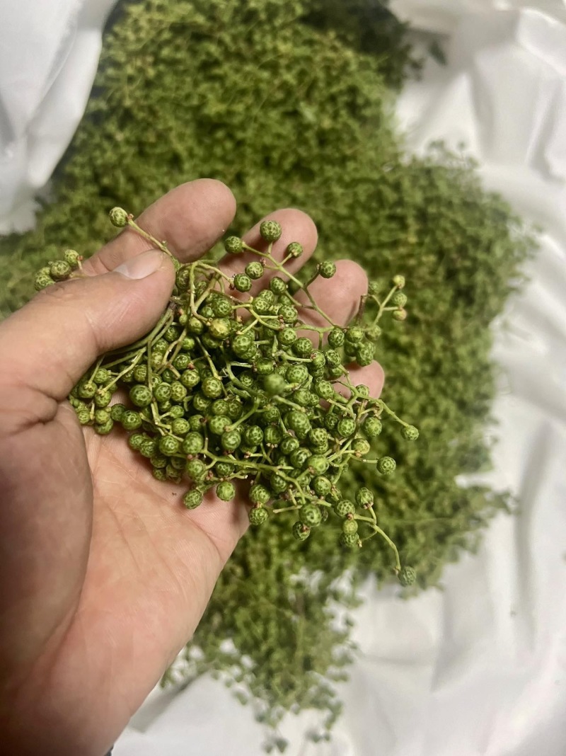 z沂蒙山直供新鲜青花椒，麻香浓郁品质佳