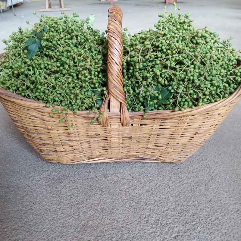 z沂蒙山直供新鲜青花椒，麻香浓郁品质佳
