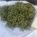 z沂蒙山直供新鲜青花椒，麻香浓郁品质佳