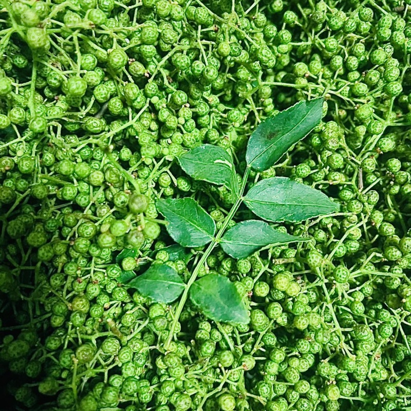 z沂蒙山直供新鲜青花椒，麻香浓郁品质佳