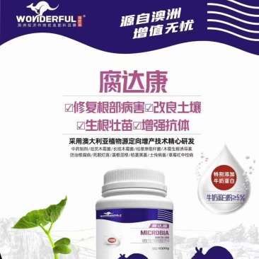腐达康解决死颗烂苗根腐重茬问题