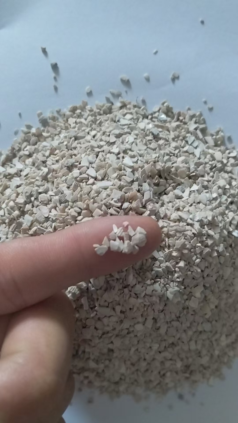 东北高钙水洗贝壳粉