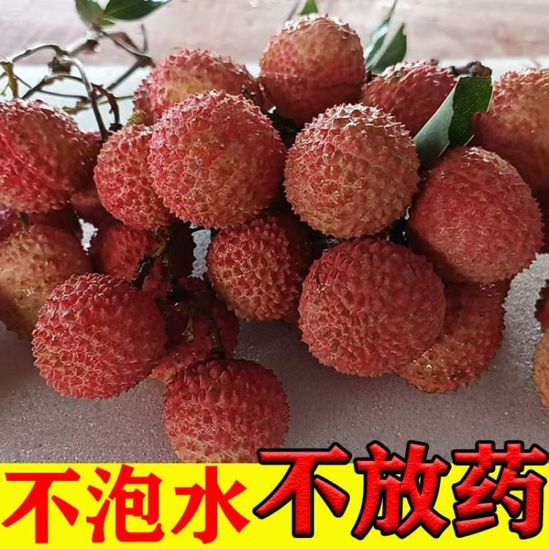 【桂味】荔枝新鲜荔枝**批发水果产地果园打包发货便宜一整箱