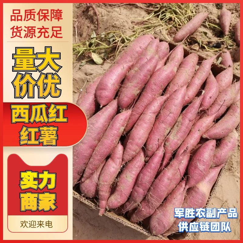 精品西瓜红蜜薯红薯地头发货一手货源商超货电商货