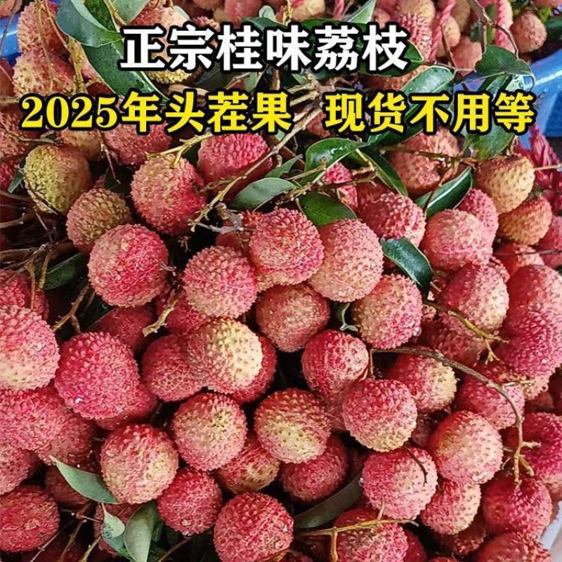 荔枝**新鲜荔枝批发水果果园打包发货便宜一整