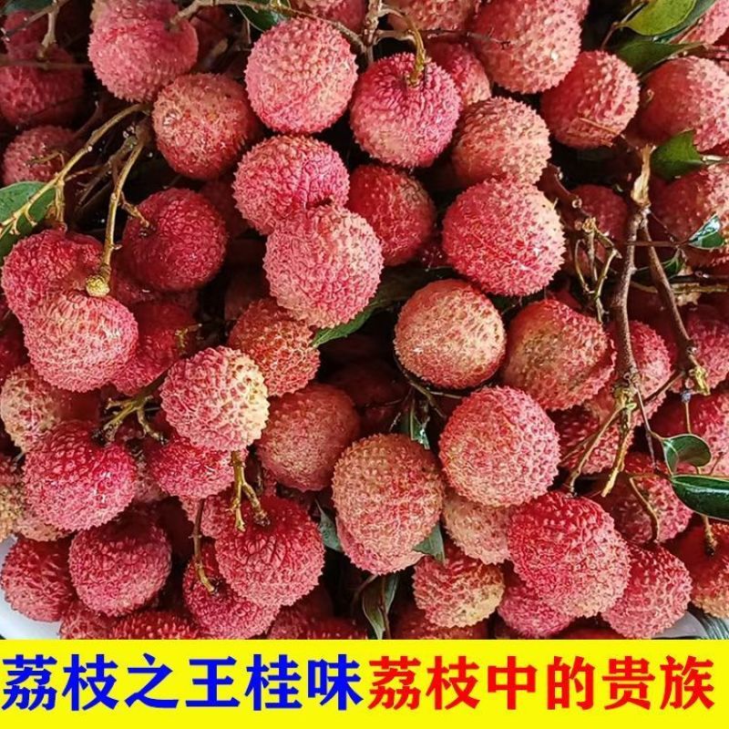 荔枝**新鲜荔枝批发水果果园打包发货便宜一整