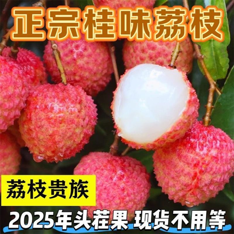 荔枝**新鲜荔枝批发水果果园打包发货便宜一整