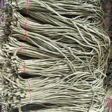 青条豆角，品质优良，质量保证，量大