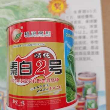 杨凌高科精纯秦白2号（秦白号二号升级品种）更好吃