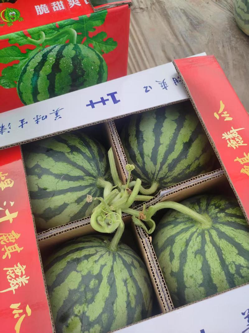 【优选】美都西瓜货源充足保证质量全国产地直发