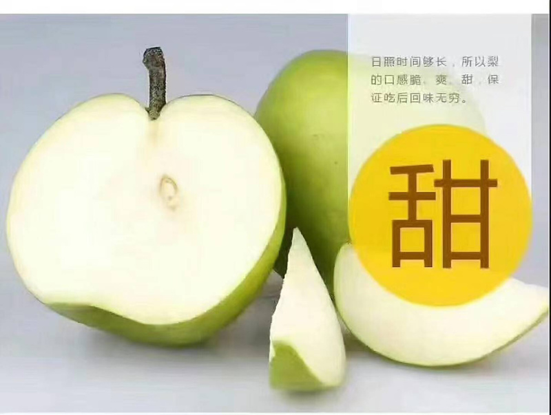 梨青翠梨酥脆一号梨皮薄多汁脆甜无渣欢迎咨询