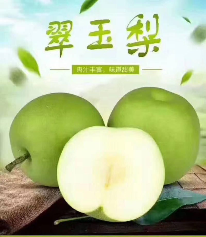 梨青翠梨酥脆一号梨皮薄多汁脆甜无渣欢迎咨询