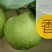 梨青翠梨酥脆一号梨皮薄多汁脆甜无渣欢迎咨询