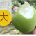 梨青翠梨酥脆一号梨皮薄多汁脆甜无渣欢迎咨询