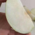 梨青翠梨酥脆一号梨皮薄多汁脆甜无渣欢迎咨询
