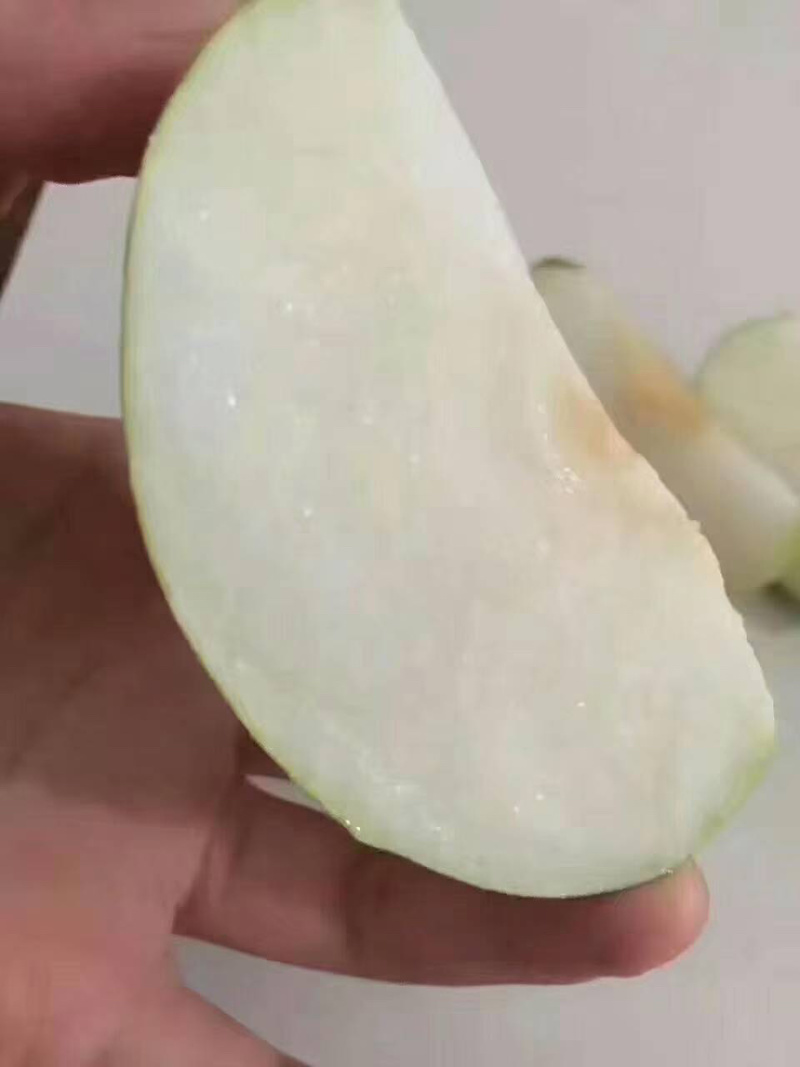 梨青翠梨酥脆一号梨皮薄多汁脆甜无渣欢迎咨询