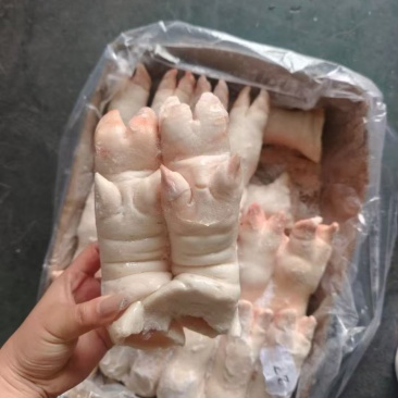 26/27去筋带拐皮蹄