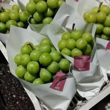 夏黑巨峰阳光玫瑰