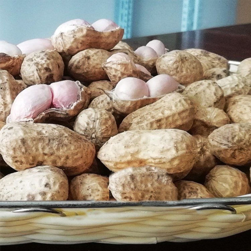 万亩白鲨花生鲜货带壳花生保质保量厂家直发对接市场电商