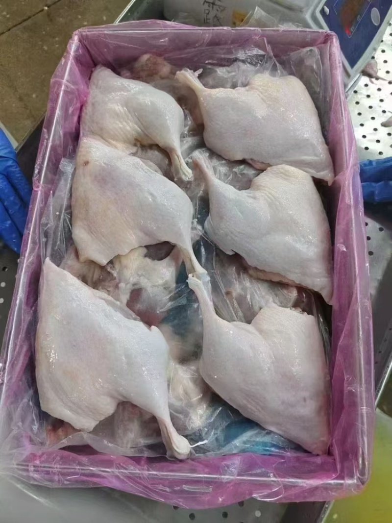 鸭边腿规格齐全品质好价格实惠量大从优冷链