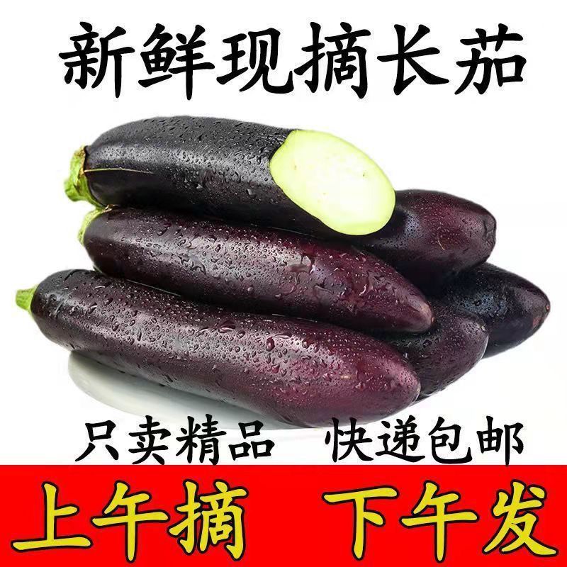 茄子