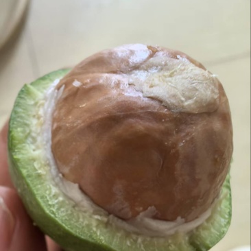 云南夏威夷果全国发货规格全产地直发大量现货供应