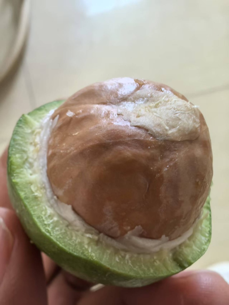 云南夏威夷果全国发货规格全产地直发大量现货供应