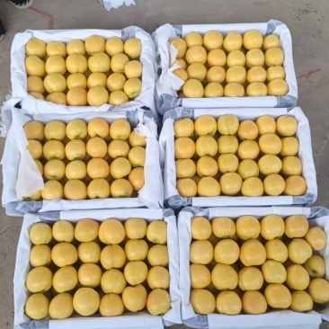 中油六号纸袋黄桃