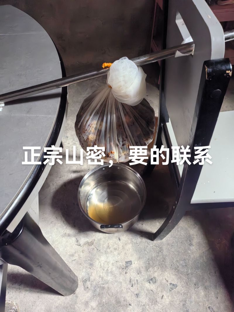 霞浦土蜂蜜