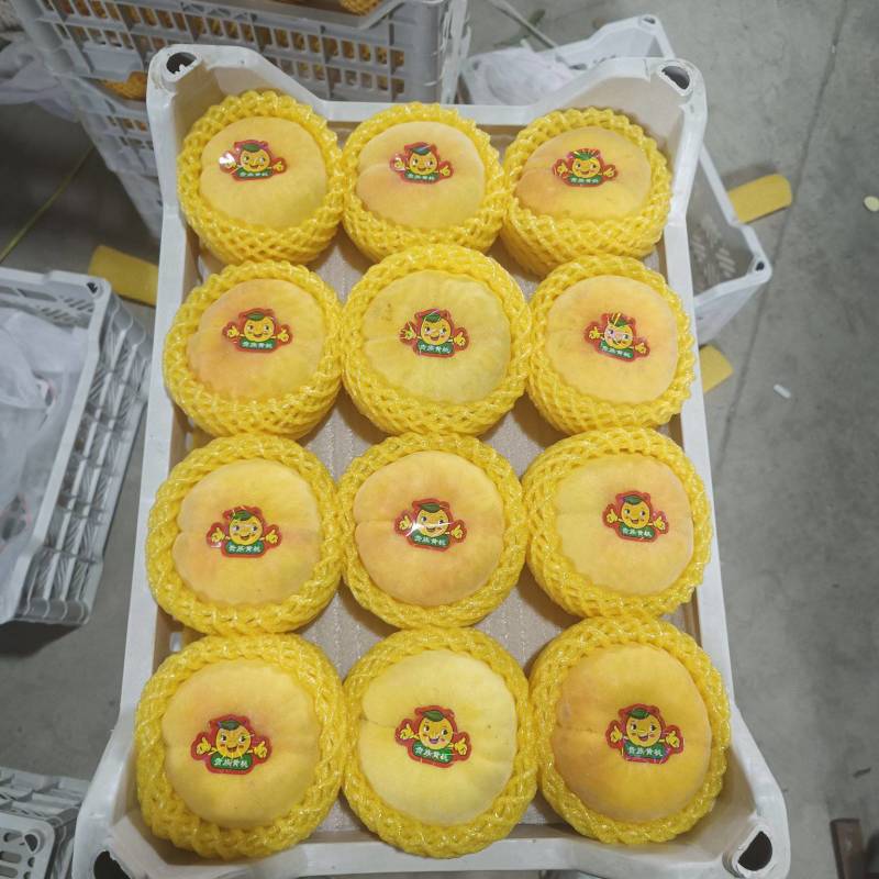 山东毛蟠桃【原产地】可供电商，市场，供应链超市