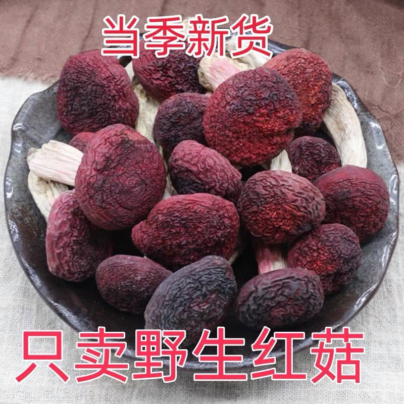 福建武夷山野生红菇新货大红菌干货月子菇精品红蘑菇菌菇红菇干货