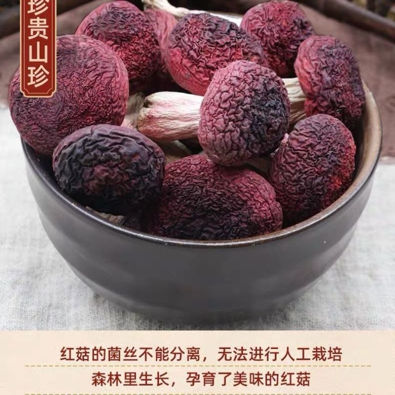 福建武夷山野生红菇新货大红菌干货月子菇精品红蘑菇菌菇红菇干货