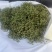 26年6月刚上市青鲜花椒大红袍青花椒当季鲜货