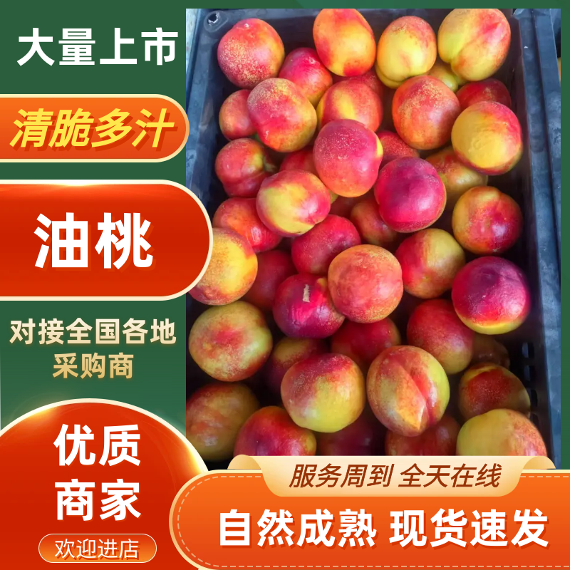 油桃，48油桃，露天红油桃，