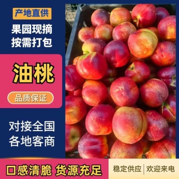 油桃，48油桃，露天红油桃，