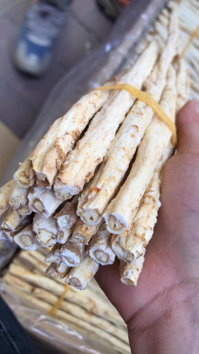 长期供应优品沙参批发
