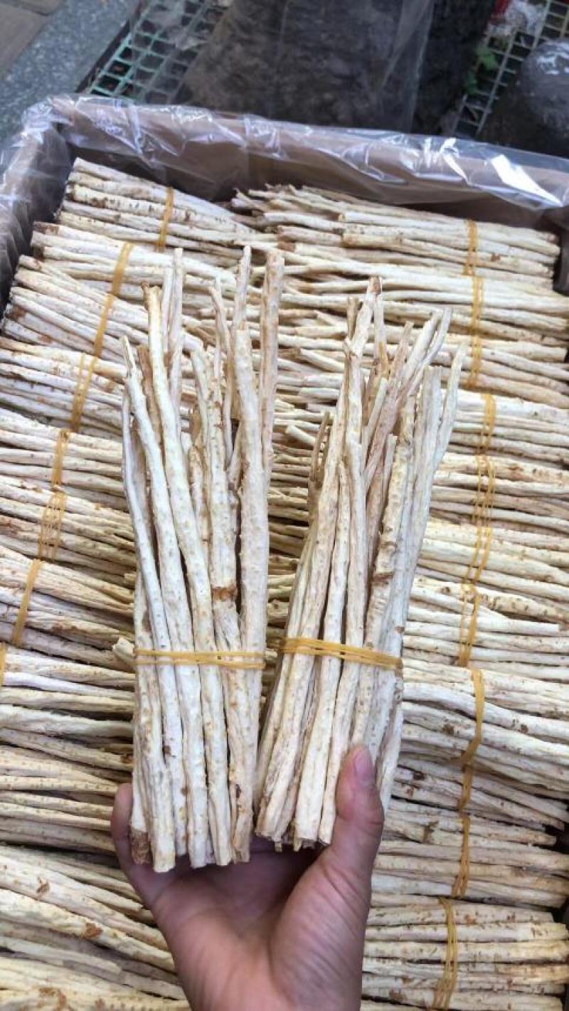长期供应优品沙参批发