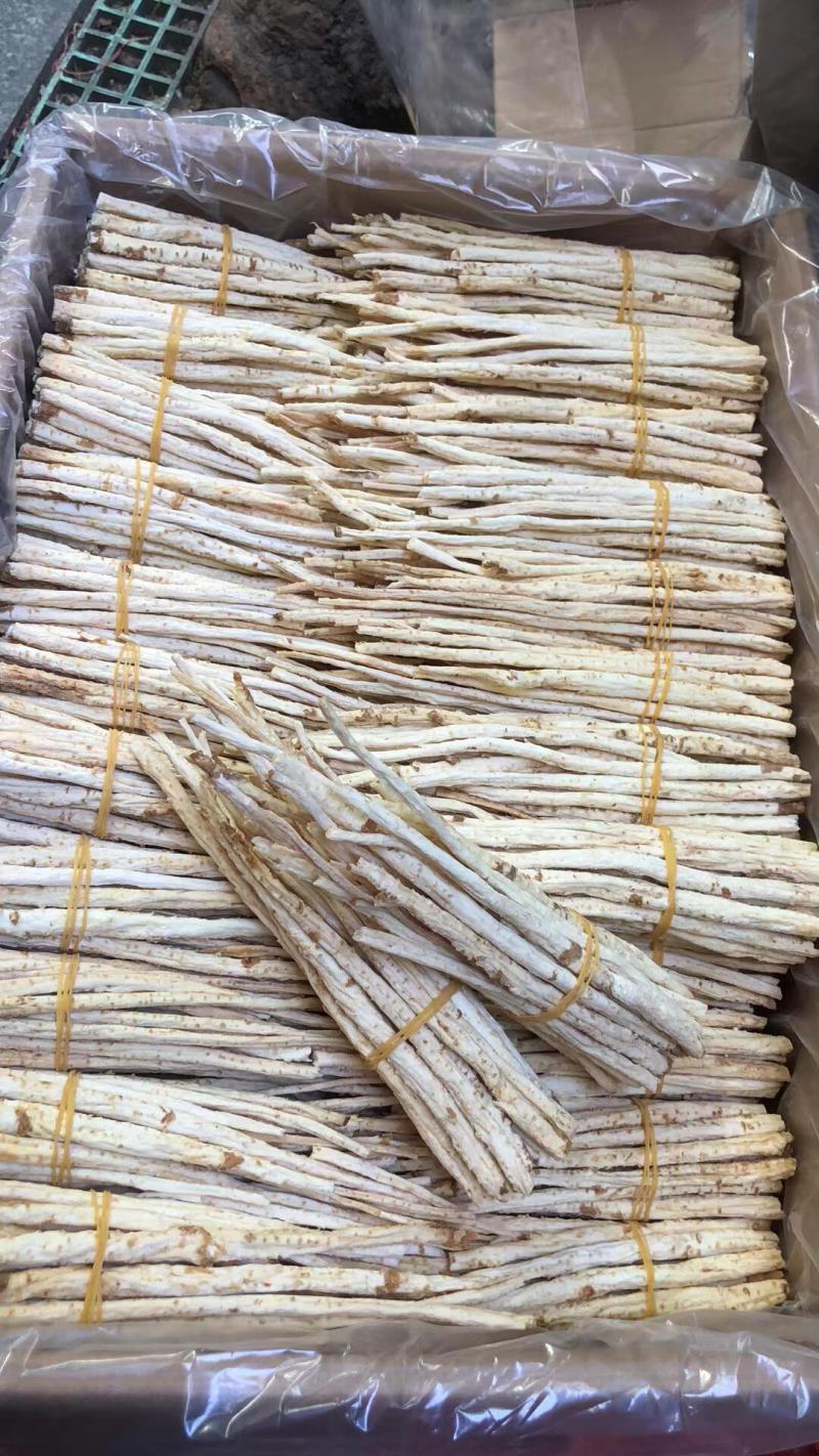 长期供应优品沙参批发