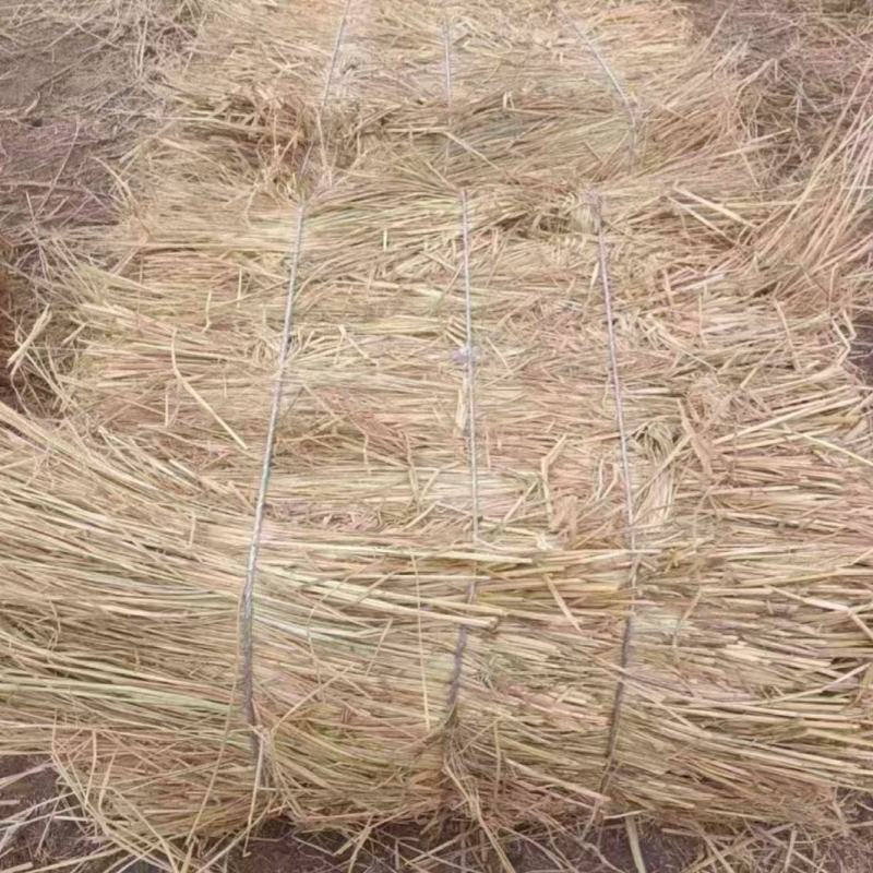 治沙稻草沙漠治理沙漠绿化各种草帘打捆稻草