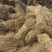 治沙稻草沙漠治理沙漠绿化各种草帘打捆稻草