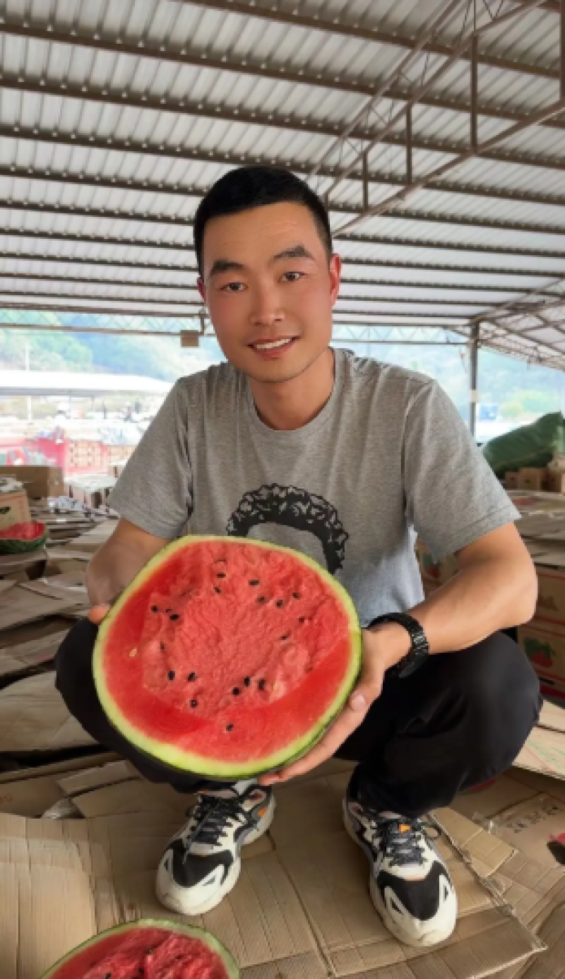 【推荐】新疆昌吉安农二号西瓜大吨位供应代发全国欢迎来电
