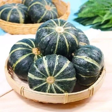 【粉糯香甜】优质贝贝南瓜量大价优批量供应欢迎来电咨询