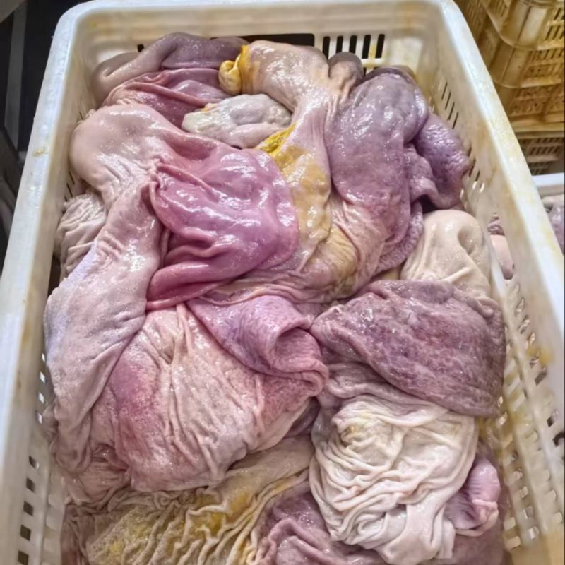 精品新鲜猪肚货源充足对接各大平台商超